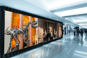 interactive-video-wall-museum Interactive video wall engaging visitors at a museum