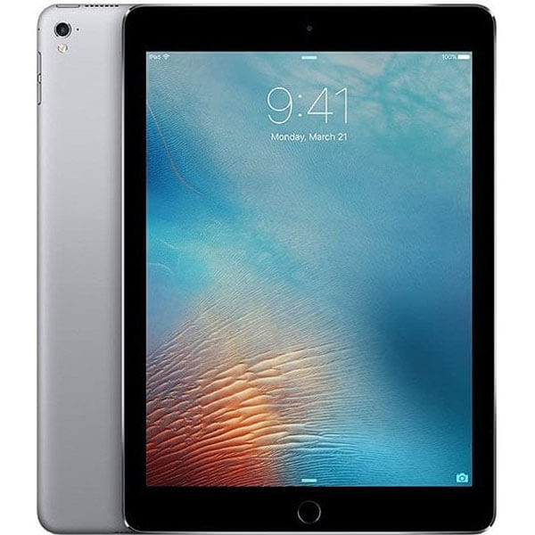  iPad Mini 5 rental unit